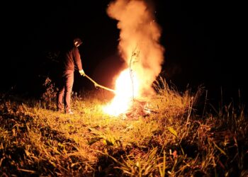 Wianki. Noc kupały. Noc Świętojańska. Przesilenie letnie / Bartosz Koziej / Radio Kielce