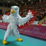 Mecz siatkowy Polska - Argentyna (15.07.2017) / MOSiR Ostrowiec