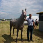 09.07.2017 Opatowiec. Championat koni / Ewa Pociejowska - Gawęda / Radio Kielce