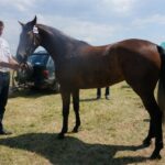 09.07.2017 Opatowiec. Championat koni / Ewa Pociejowska - Gawęda / Radio Kielce