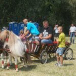 09.07.2017 Opatowiec. Championat koni / Ewa Pociejowska - Gawęda / Radio Kielce