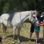 09.07.2017 Opatowiec. Championat koni / Ewa Pociejowska - Gawęda / Radio Kielce