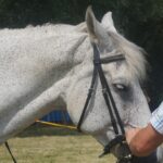 09.07.2017 Opatowiec. Championat koni / Ewa Pociejowska - Gawęda / Radio Kielce