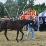 09.07.2017 Opatowiec. Championat koni / Ewa Pociejowska - Gawęda / Radio Kielce