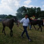 09.07.2017 Opatowiec. Championat koni / Ewa Pociejowska - Gawęda / Radio Kielce