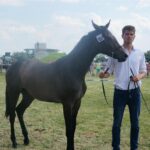 09.07.2017 Opatowiec. Championat koni / Ewa Pociejowska - Gawęda / Radio Kielce