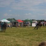 09.07.2017 Opatowiec. Championat koni / Ewa Pociejowska - Gawęda / Radio Kielce