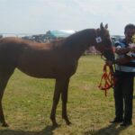 09.07.2017 Opatowiec. Championat koni / Ewa Pociejowska - Gawęda / Radio Kielce