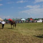 09.07.2017 Opatowiec. Championat koni / Ewa Pociejowska - Gawęda / Radio Kielce