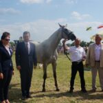 09.07.2017 Opatowiec. Championat koni / Ewa Pociejowska - Gawęda / Radio Kielce