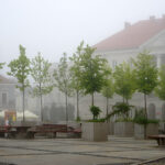 Kielce ukryte we mgle / Robert Felczak / Radio Kielce