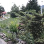 27.07.2017 - Święta Katarzyna - Zacisze - Raport Dnia / Krzysztof Bujnowicz / Radio Kielce