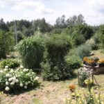 24.07.2017 - Nowa Huta koło Rakowa - Raport Dnia - Igrzycznia / Krzysztof Bujnowicz / Radio Kielce