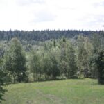 Krzysztof Bujnowicz / Radio Kielce