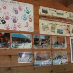 (20.07.2017) Gmina Raków. Raport Dnia: "Pyzówka" / Krzysztof Bujnowicz / Radio Kielce