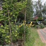 Raport Dnia: "Wojtasówka" (17.07.2017) / Krzysztof Bujnowicz / Radio Kielce