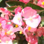 Krzysztof Bujnowicz / Radio Kielce