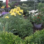 Gospodarstwo agroturystyczne "Pod Laskiem" (11.07.2017) / Krzysztof Bujnowicz / Radio Kielce