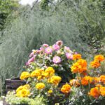 24.07.2017 - Nowa Huta koło Rakowa - Raport Dnia - Igrzycznia / Krzysztof Bujnowicz / Radio Kielce