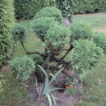 Gospodarstwo agroturystyczne "Pod Laskiem" (11.07.2017) / Krzysztof Bujnowicz / Radio Kielce