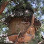 27.07.2017 - Święta Katarzyna - Zacisze - Raport Dnia / Krzysztof Bujnowicz / Radio Kielce