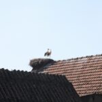 31.07.2017 - Raport Dnia - Gospodarstwo agroturystyczne „Pod Bociankiem” / Grzegorz Jamka / Radio Kielce