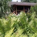 24.07.2017 - Nowa Huta koło Rakowa - Raport Dnia - Igrzycznia / Krzysztof Bujnowicz / Radio Kielce