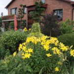 Gospodarstwo agroturystyczne "Pod Laskiem" (11.07.2017) / Krzysztof Bujnowicz / Radio Kielce