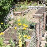 (20.07.2017) Gmina Raków. Raport Dnia: "Pyzówka" / Krzysztof Bujnowicz / Radio Kielce