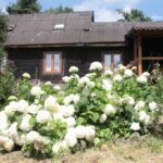 24.07.2017 - Nowa Huta koło Rakowa - Raport Dnia - Igrzycznia / Krzysztof Bujnowicz / Radio Kielce