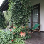 (25.07.2017) Grzegorzowice - Dworek Lachowicze / Krzysztof Bujnowicz / Radio Kielce