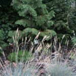 Gospodarstwo agroturystyczne "Pod Laskiem" (11.07.2017) / Krzysztof Bujnowicz / Radio Kielce