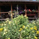 24.07.2017 - Nowa Huta koło Rakowa - Raport Dnia - Igrzycznia / Krzysztof Bujnowicz / Radio Kielce