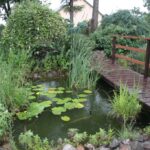 Gospodarstwo agroturystyczne "Pod Laskiem" (11.07.2017) / Krzysztof Bujnowicz / Radio Kielce