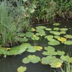 Gospodarstwo agroturystyczne "Pod Laskiem" (11.07.2017) / Krzysztof Bujnowicz / Radio Kielce