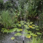 Gospodarstwo agroturystyczne "Pod Laskiem" (11.07.2017) / Krzysztof Bujnowicz / Radio Kielce