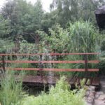 Gospodarstwo agroturystyczne "Pod Laskiem" (11.07.2017) / Krzysztof Bujnowicz / Radio Kielce