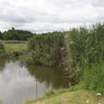 26.07.2017 - Brody - „Daleko od szosy” / Krzysztof Bujnowicz / Radio Kielce