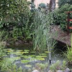 Gospodarstwo agroturystyczne "Pod Laskiem" (11.07.2017) / Krzysztof Bujnowicz / Radio Kielce