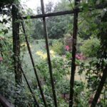 Gospodarstwo agroturystyczne "Pod Laskiem" (11.07.2017) / Krzysztof Bujnowicz / Radio Kielce