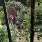 Gospodarstwo agroturystyczne "Pod Laskiem" (11.07.2017) / Krzysztof Bujnowicz / Radio Kielce