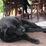 24.07.2017 - Nowa Huta koło Rakowa - Raport Dnia - Igrzycznia / Krzysztof Bujnowicz / Radio Kielce