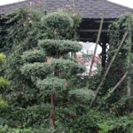 Gospodarstwo agroturystyczne "Pod Laskiem" (11.07.2017) / Krzysztof Bujnowicz / Radio Kielce