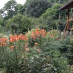 24.07.2017 - Nowa Huta koło Rakowa - Raport Dnia - Igrzycznia / Krzysztof Bujnowicz / Radio Kielce