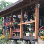 24.07.2017 - Nowa Huta koło Rakowa - Raport Dnia - Igrzycznia / Krzysztof Bujnowicz / Radio Kielce