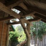 (20.07.2017) Gmina Raków. Raport Dnia: "Pyzówka" / Krzysztof Bujnowicz / Radio Kielce