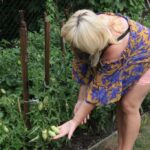 Gospodarstwo agroturystyczne "Pod Laskiem" (11.07.2017) / Krzysztof Bujnowicz / Radio Kielce