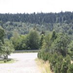 Krzysztof Bujnowicz / Radio Kielce