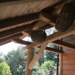 (20.07.2017) Gmina Raków. Raport Dnia: "Pyzówka" / Krzysztof Bujnowicz / Radio Kielce