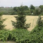 Raport Dnia: "Wojtasówka" (17.07.2017) / Krzysztof Bujnowicz / Radio Kielce